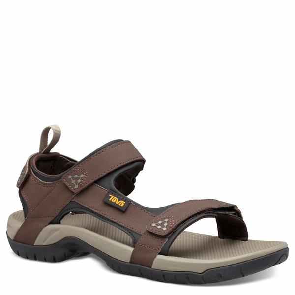 teva shoc pad