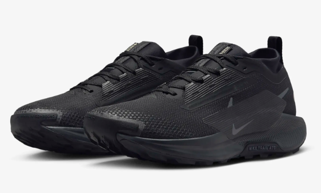 nike pegasus trail shoes